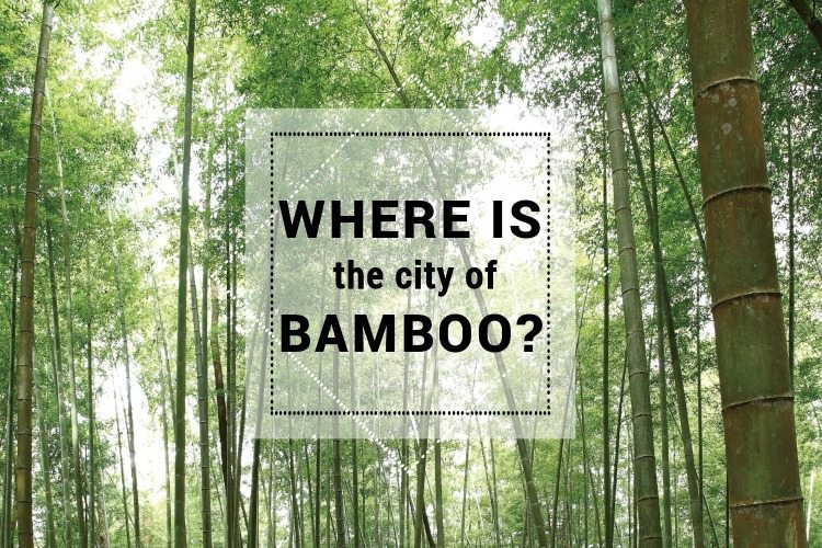 the city of bamboo