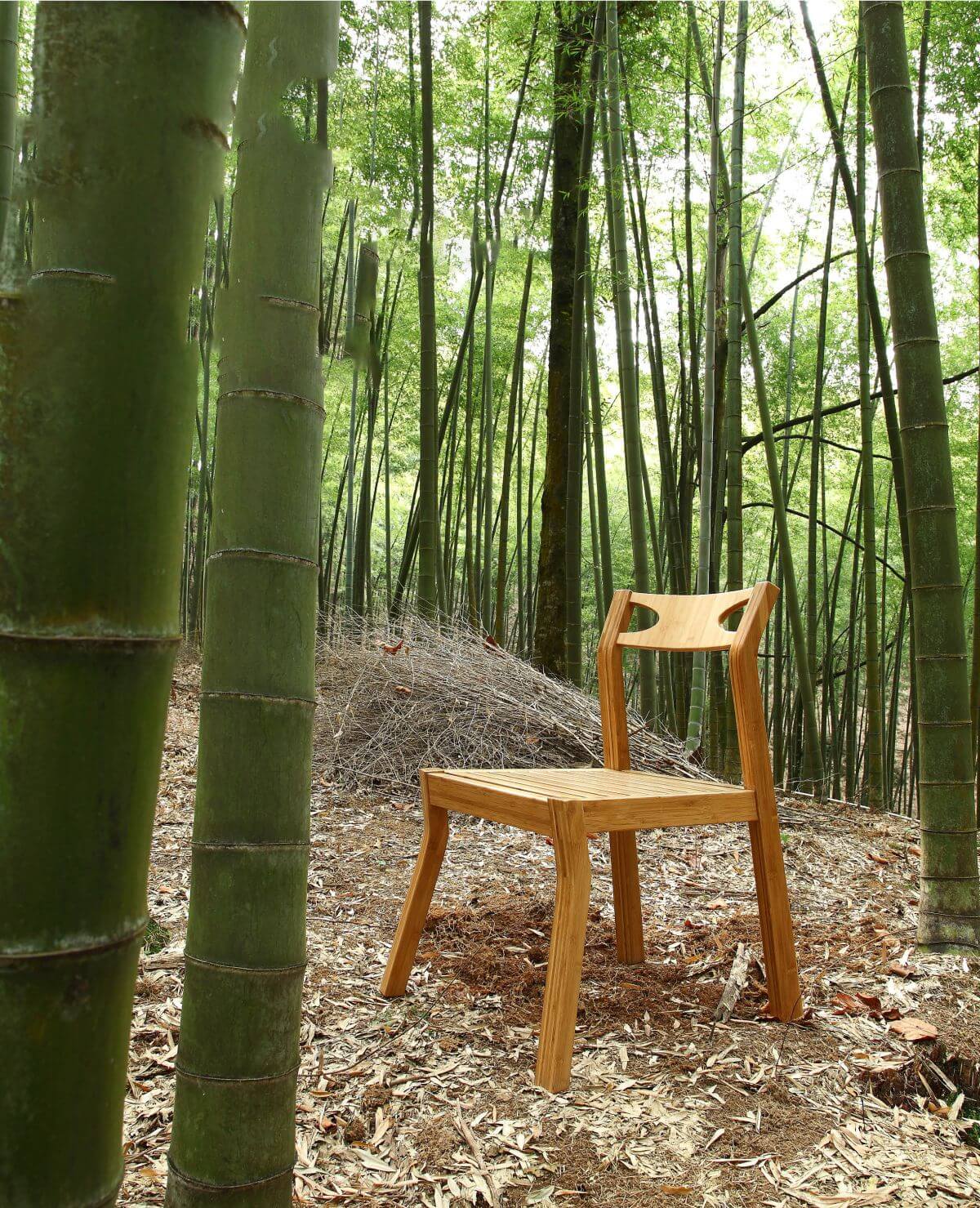 bamboo chairs 2