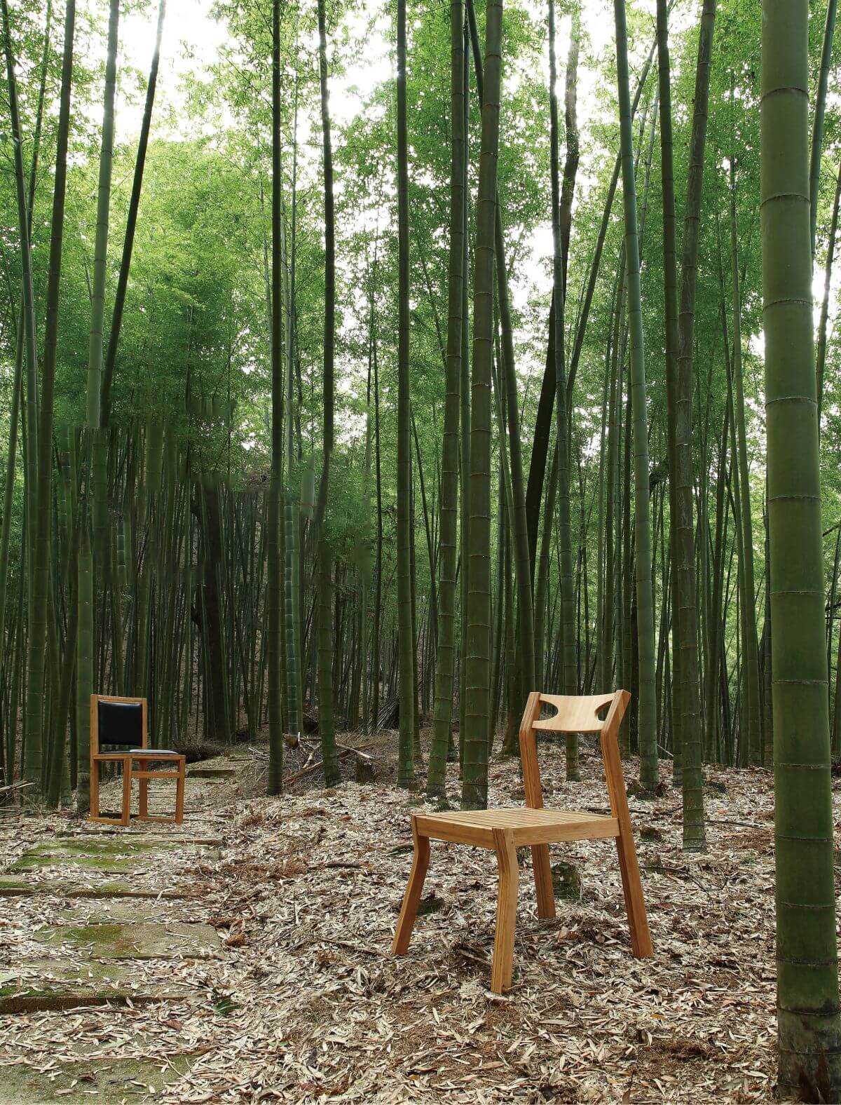 bamboo chairs