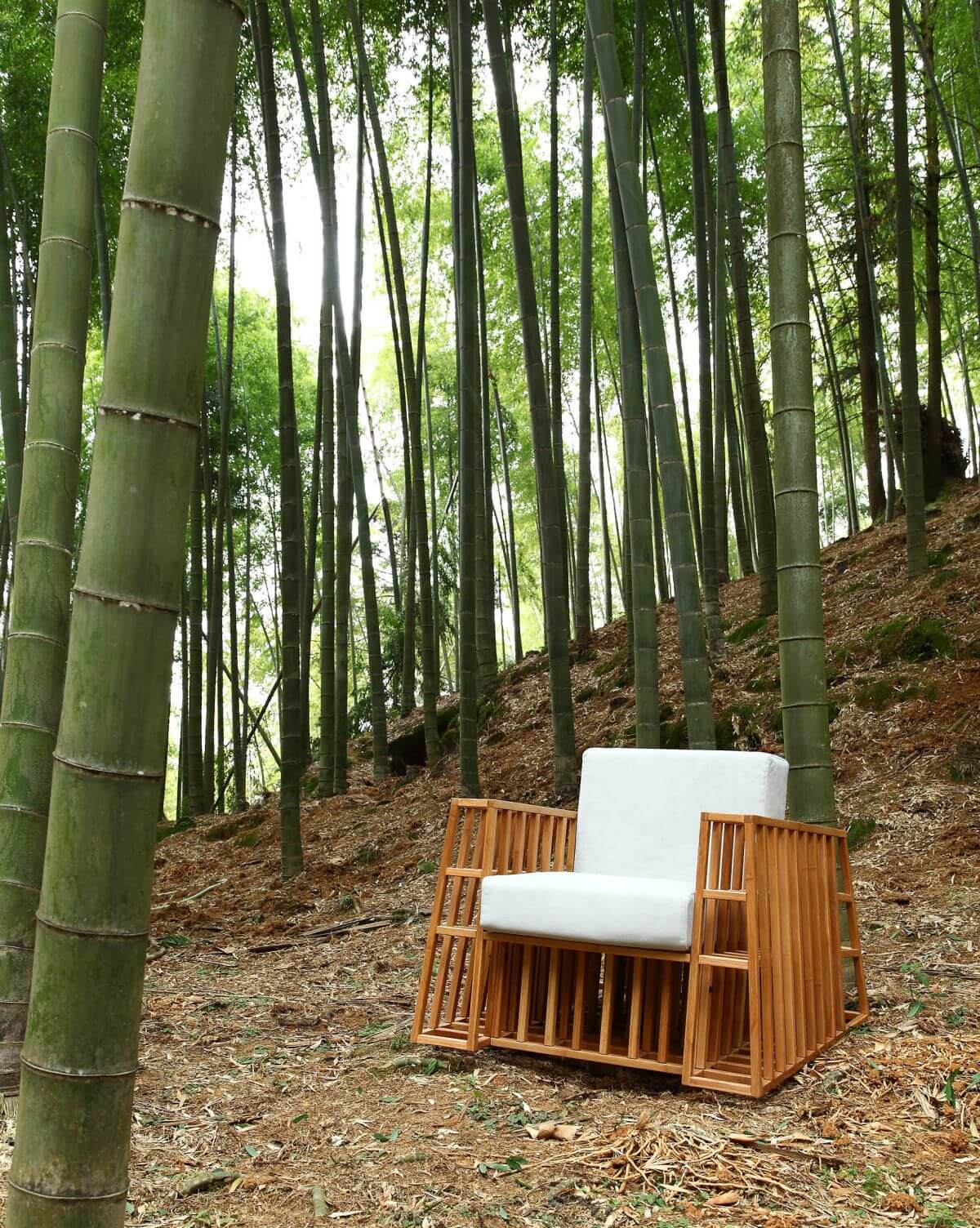 bamboo sofa chair
