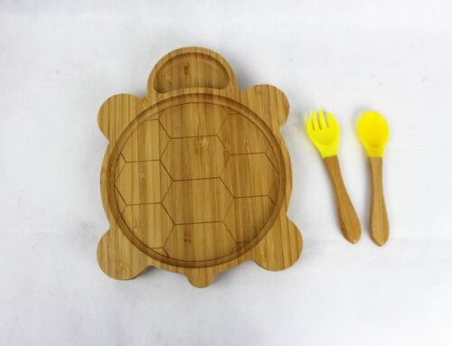 Turtle childrens plates with sections