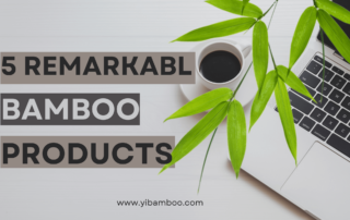 5 Remarkable Bamboo Products