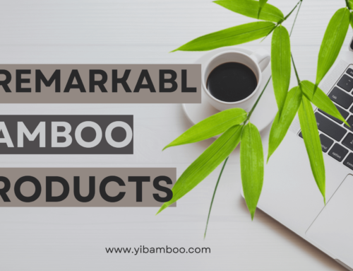 The Versatility of Bamboo: 5 Remarkable Bamboo Products