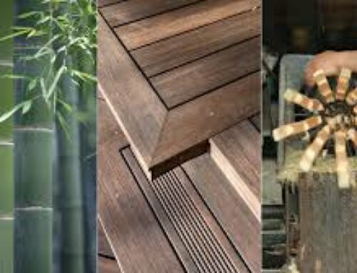 Why Choose Bamboo Over Traditional Materials?
