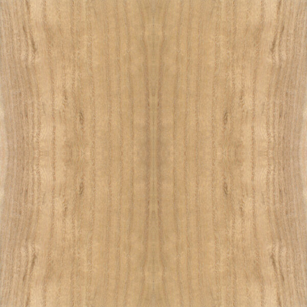 Paulownia wood grain