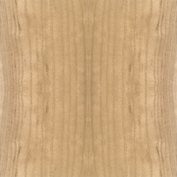 Paulownia wood grain