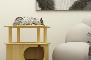 bamboo cat condo